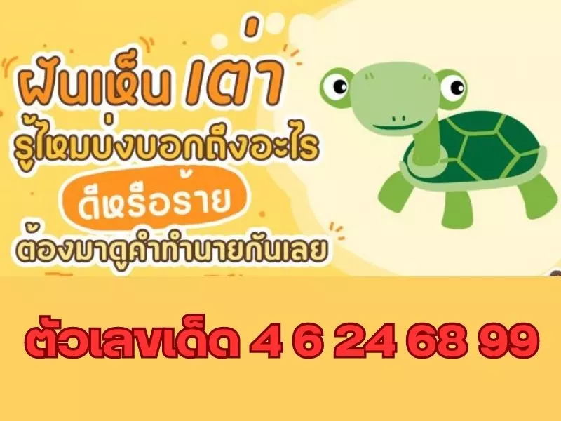 ความหมายพร้อมตีเลขฝันเห็นเต่าตัวใหญ่ ฝันเห็นเต่าตัวใหญ่