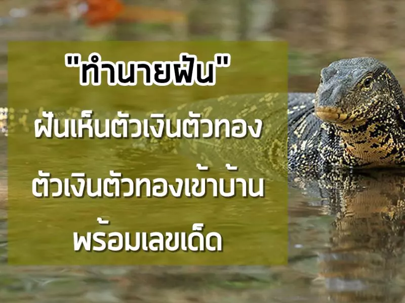 ฝันเห็นตัวเงินตัวทองเลขอะไร รับโชคเต็มๆ ฝันเห็นตัวเงินตัวทอง
