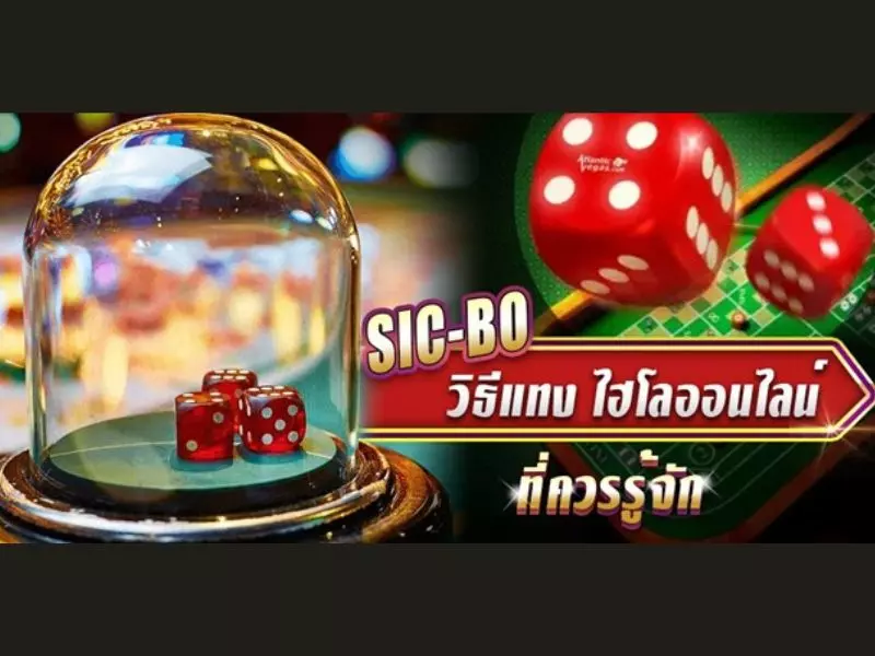 เล่นไฮโลออนไลน์ เว็บไหนดี ไฮโลออนไลน์